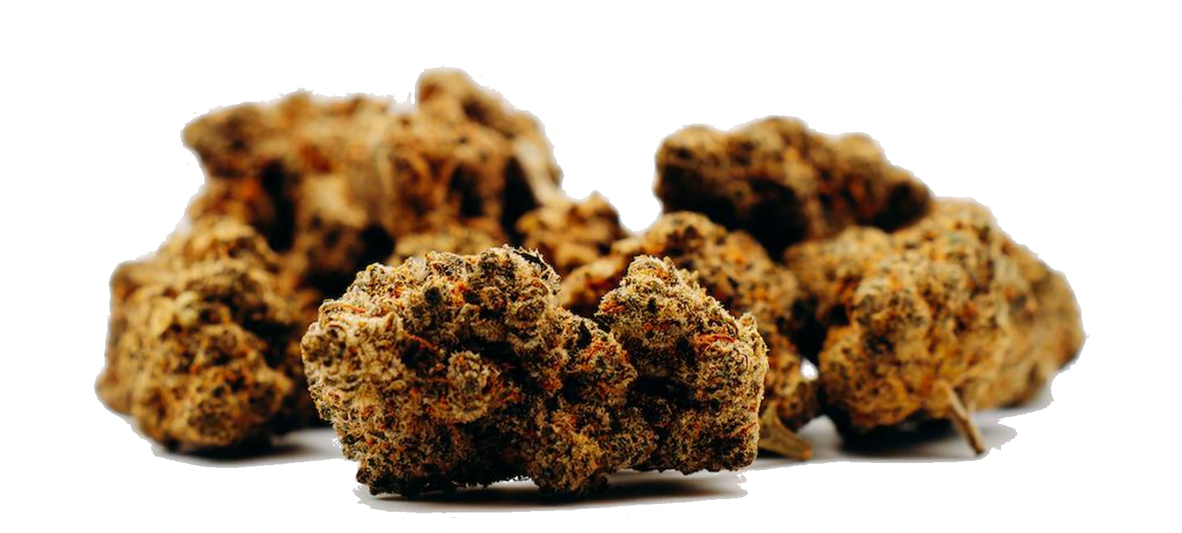 Fleurs CBD du catalogue OGCBD
