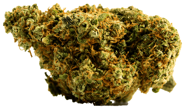OG Kush 🇺🇸 by OG CBD SHOP