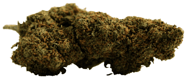 Gelato