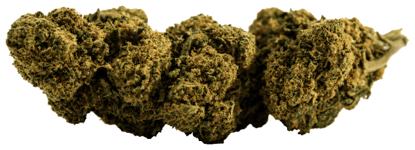 Candy Kush