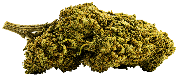Mango Haze