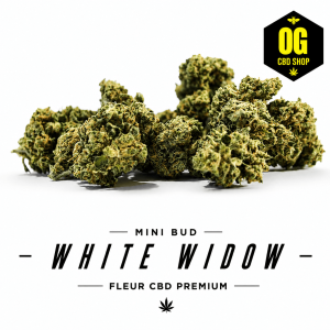 1 g de Minibud White Widow