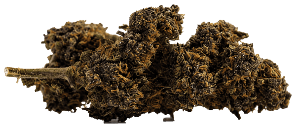 Los Angeles Confidential