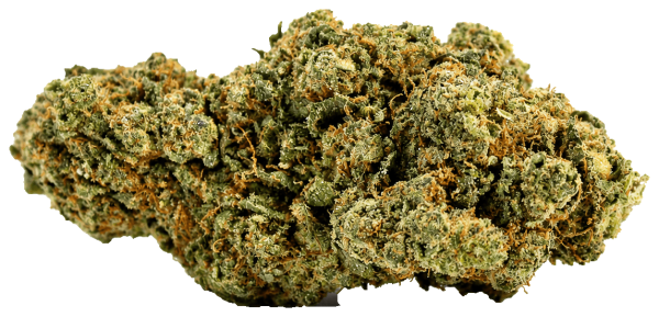Jack Herer