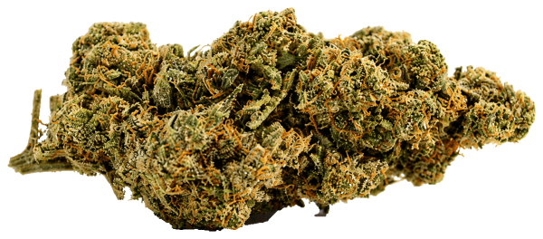 ZEUS OG (C)