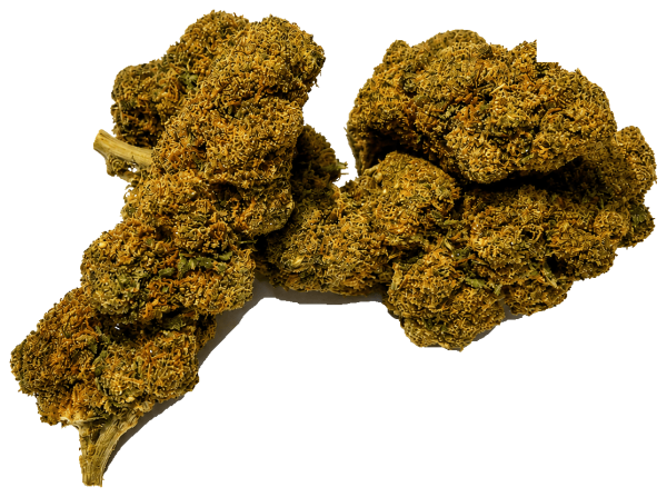 Gas Grape