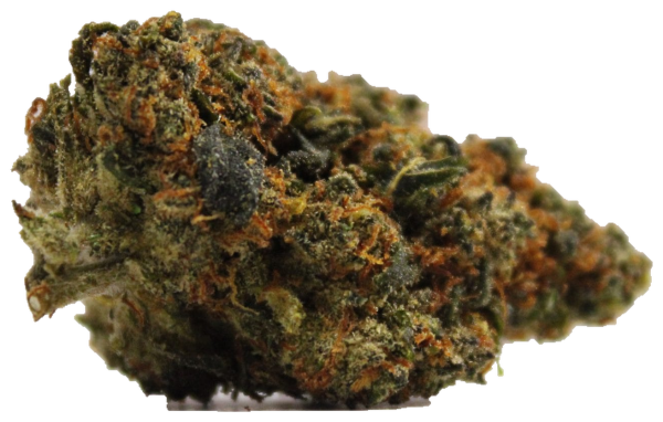 Blueberry Revuelto - Fleur CBD Puissant