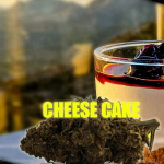 CHEESE CAKE