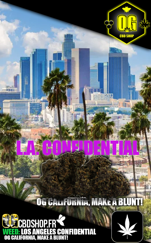 LOS ANGELES CONFIDENTIAL : Née sous les néons de L.A, cette fleur enveloppe vos soirées d'une ambiance chill et feutrée, comme une balade nocturne sur Sunset Boulevard.