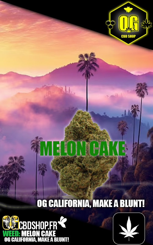 Une part de cake au melon sans les calories, un vrai dessert floral pour les journées ensoleillées.