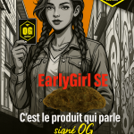 EARLY GIRL [10-OH] 😈🧨