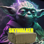 SKYWALKER ✨🐝