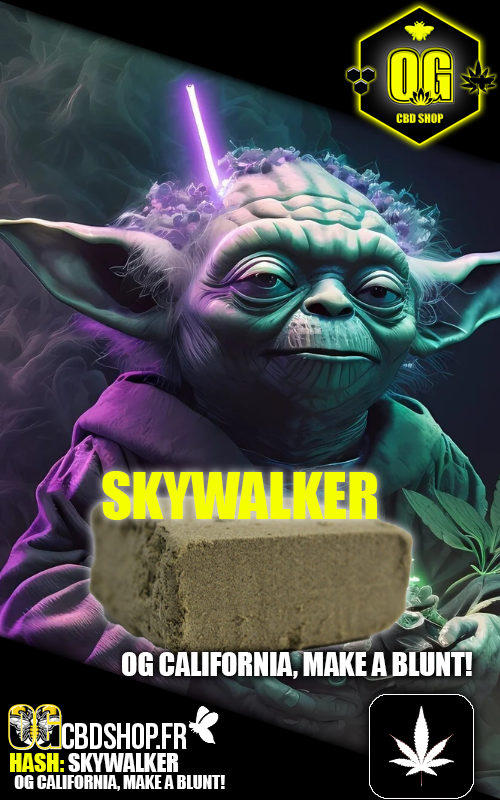 SKYWALKER ✨🐝