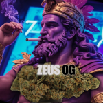 ZEUS OG (C)