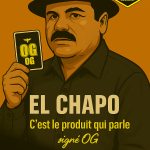 🌵EL CHAPO THV2 🧨💣💥