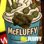MC FLUFFY 🍨