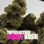 🍬 CANDY KUSH