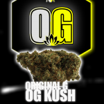 OG KUSH 🇺🇸 by OG CBD SHOP