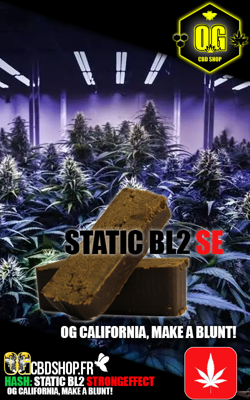 ♟STATIC BL2 🧨💣💥
