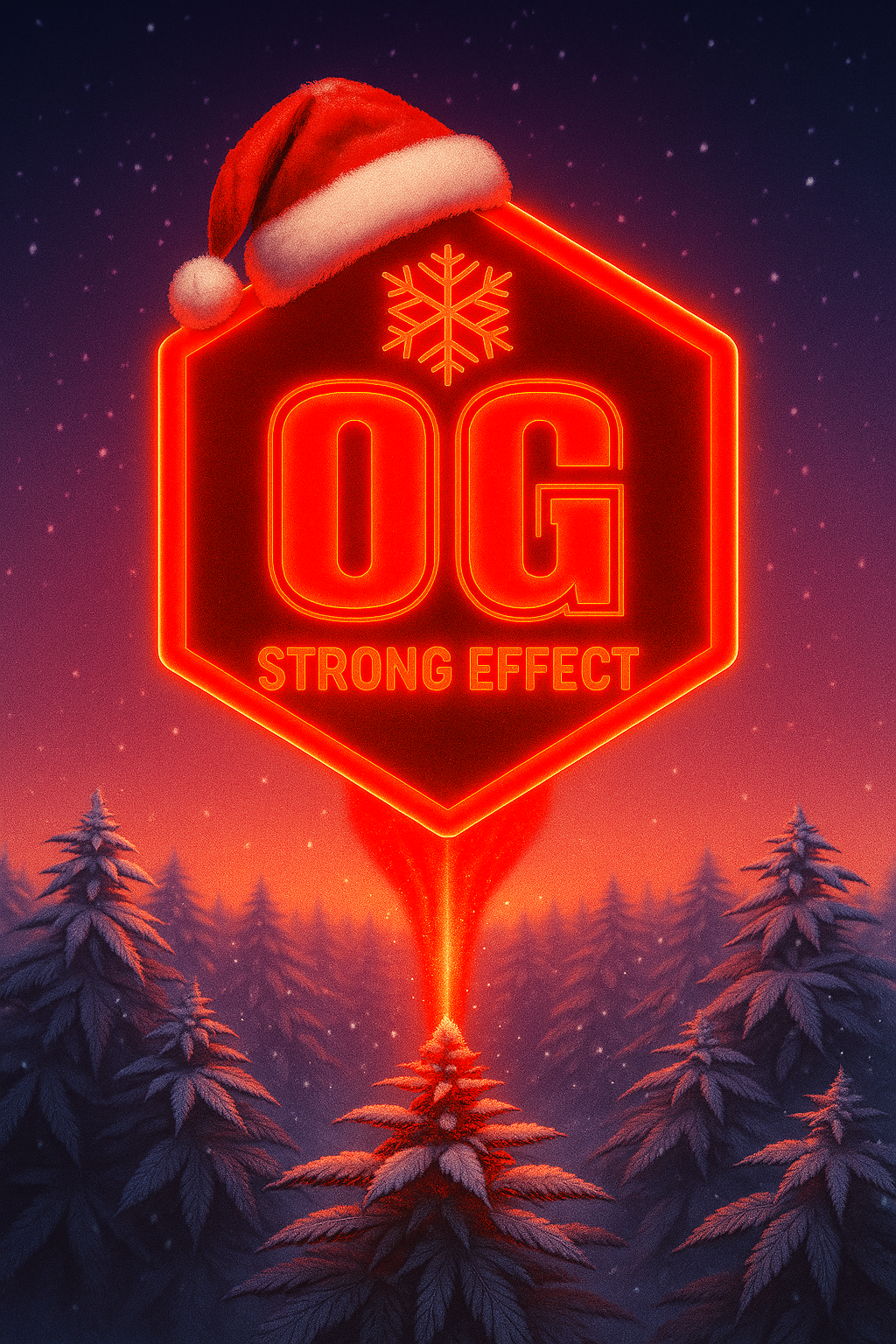 OG CBD SHOP NOEL