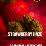 🍓 STRAWBERRY HAZE US – Fleur