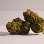 🍓 STRAWBERRY HAZE US – Fleur (pure)