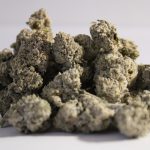 ❄️ SUB ZERO – [OG SELECTION] (pure)