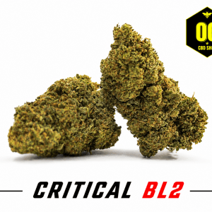 Critical BL2 - Fleur CBD Puissant
