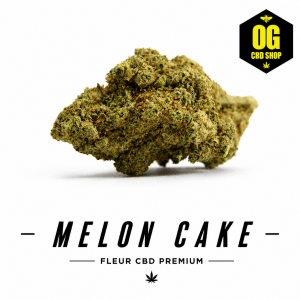 Melon Cake
