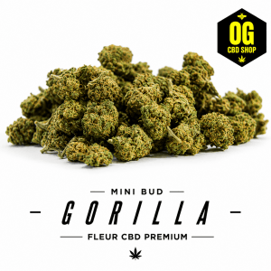Minibud Gorilla