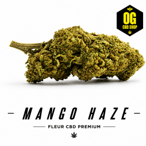 Mango Haze