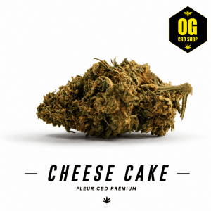Cheese Cake