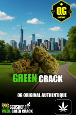 GREEN-CRACK.png