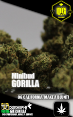 Gorilla-minibud.png