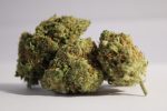 Green-crack1-scaled-1.jpg