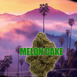 Melon Cake