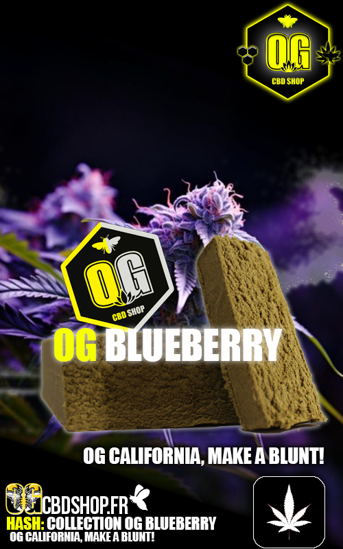OGBLUEBERRY-3.png