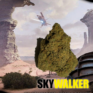Skywalker