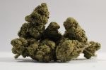 candykush6-scaled-1.jpg