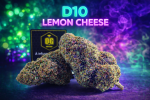 Lemon Cheese Delta-10 - Fleur CBD Puissant