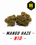 Mango Haze N10 – image principale Mango Haze N10 – fleur CBD puissante Strong Effect