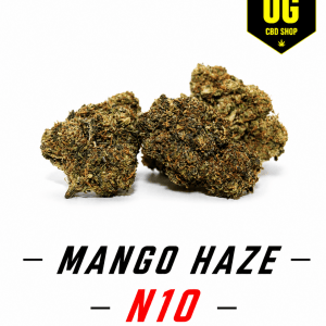Mango Haze N10 – fleur CBD puissante Strong Effect