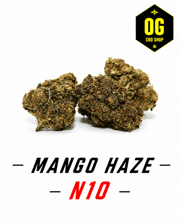 Mango Haze N10 – image principale Mango Haze N10 – fleur CBD puissante Strong Effect