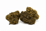 Mango Haze N10 – vue secondaire Mango Haze N10 – fleurs CBD sur fond blanc