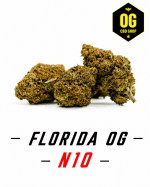 Florida OG N10 – image principale Florida OG N10 – fleur CBD puissante Strong Effect