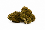 Florida OG N10 – vue secondaire Florida OG N10 – fleurs CBD sur fond blanc