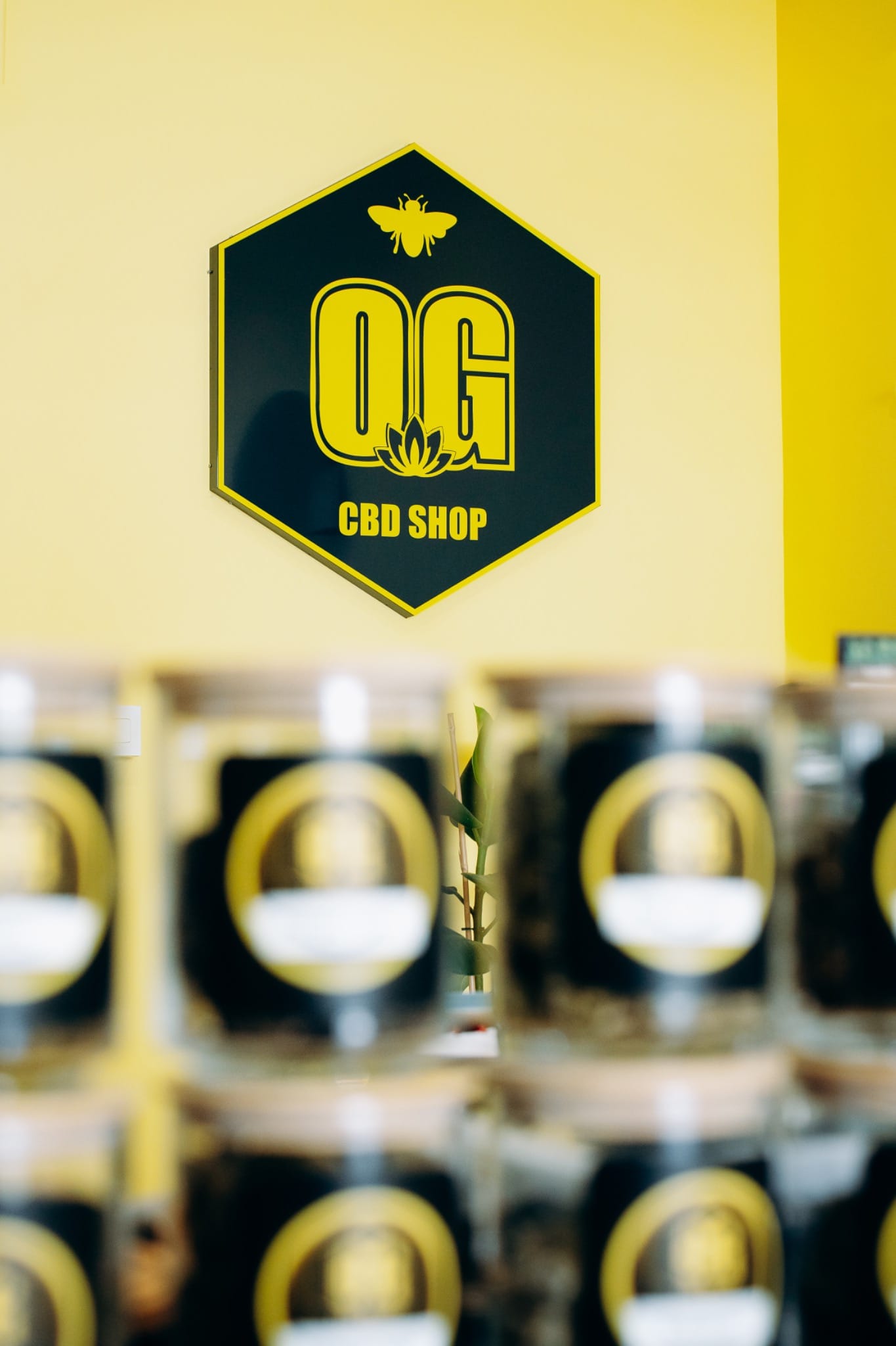 Logo OG CBD SHOP à l'intérieur de la boutique de Lyon 2